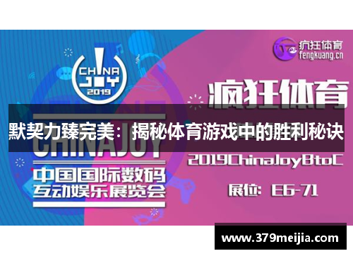 默契力臻完美：揭秘体育游戏中的胜利秘诀